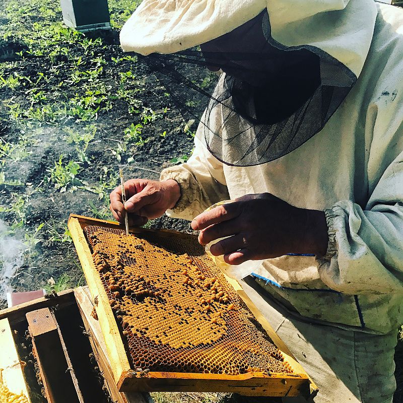 Пчеловоды пасеки Пчелково